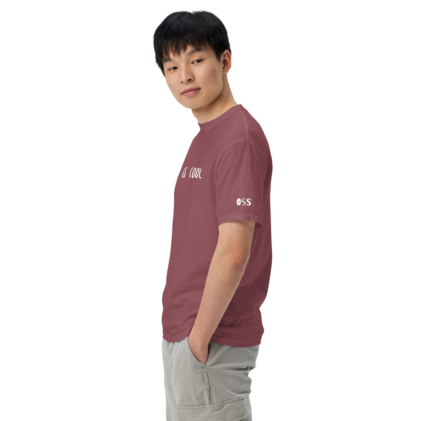 Jiu Jitsu is Cool T-Shirt