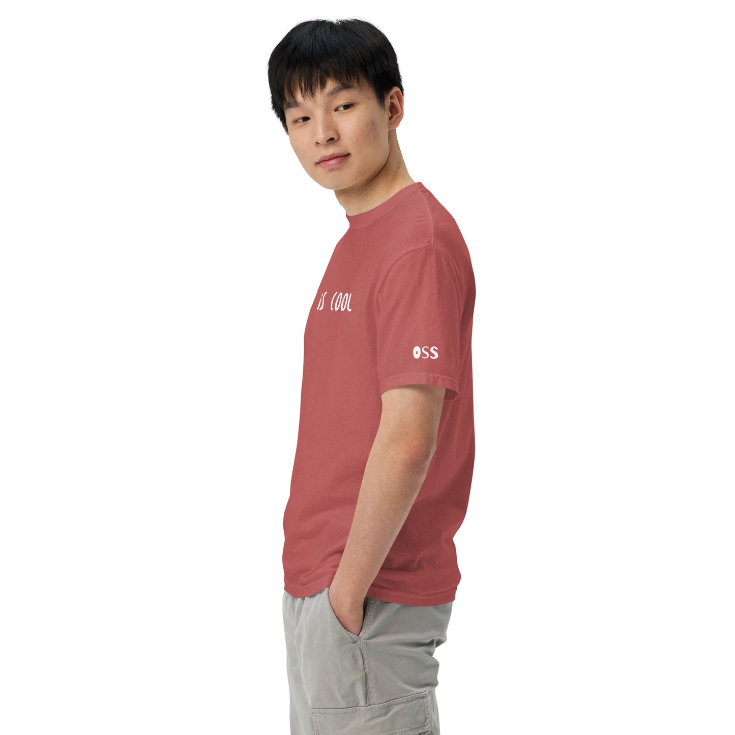 Jiu Jitsu is Cool T-Shirt