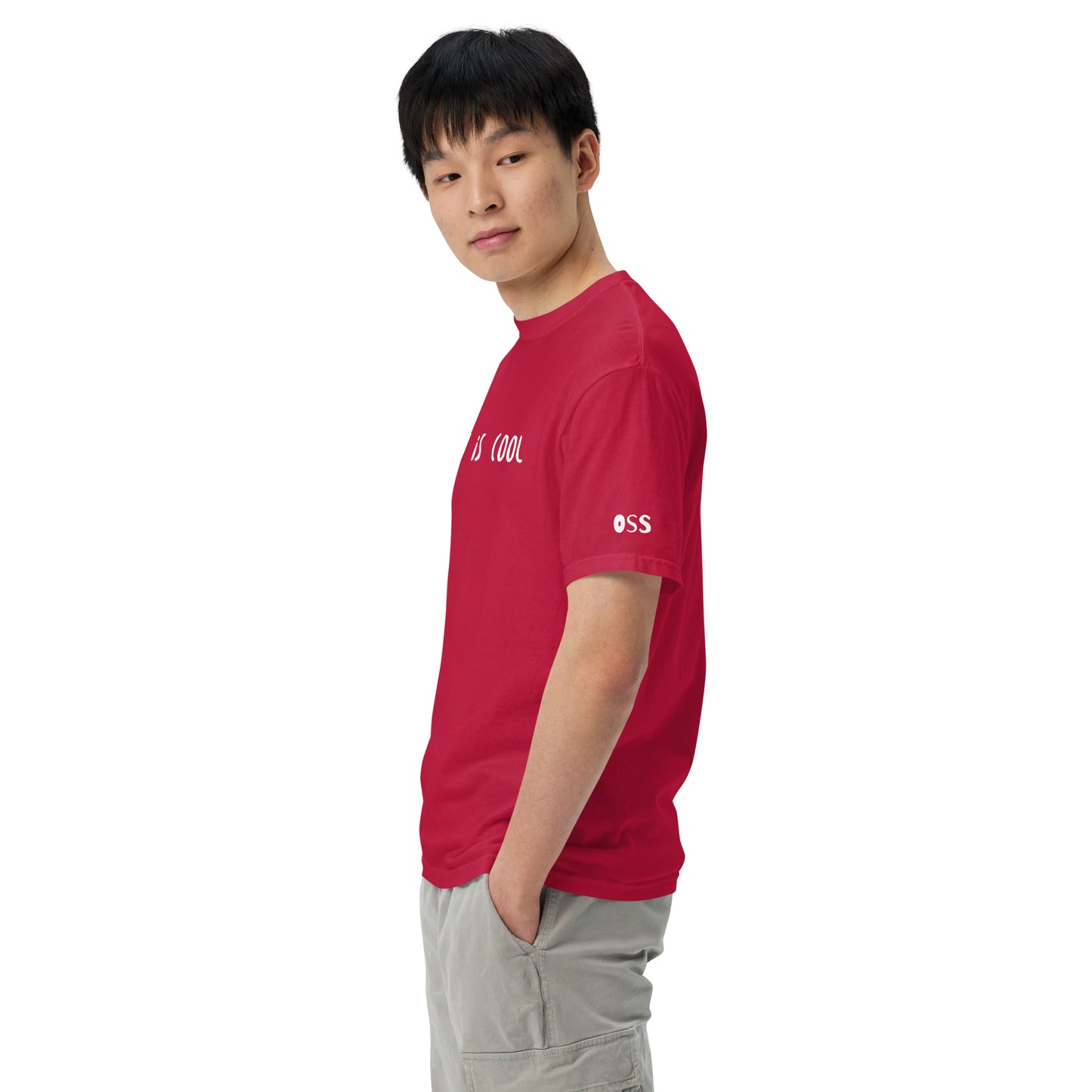 Jiu Jitsu is Cool T-Shirt