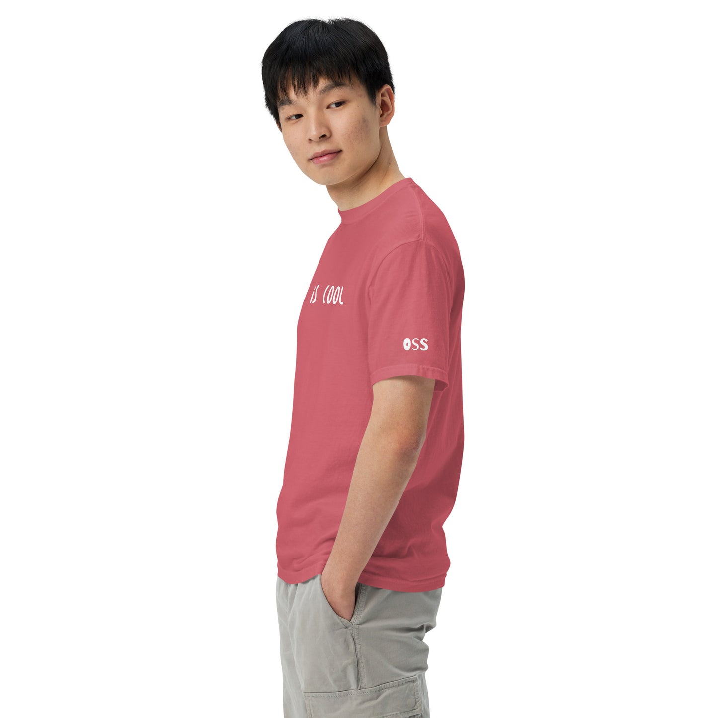 Jiu Jitsu is Cool T-Shirt